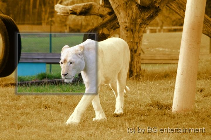 10.JPG - Safaripark Stukenbrock