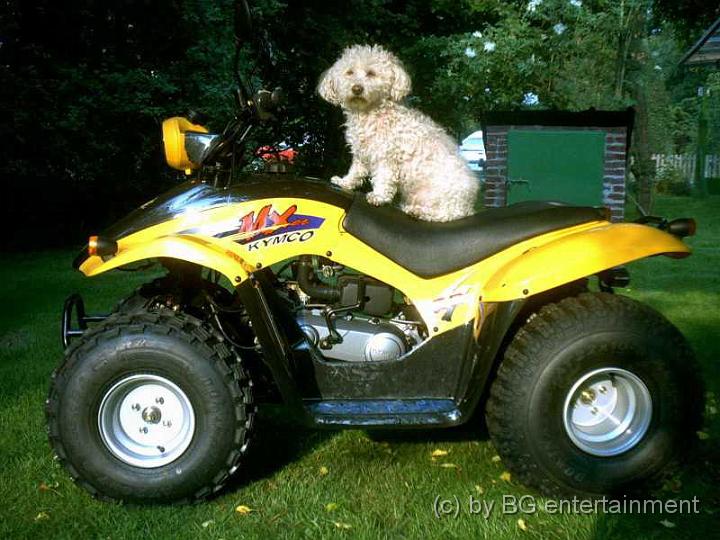 photo01.jpg - 31.05.2003 - auf "ihrem" Quad. Später montierten wir vorne noch ein Körbchen drauf, so konnte sie immer mitfahren...
