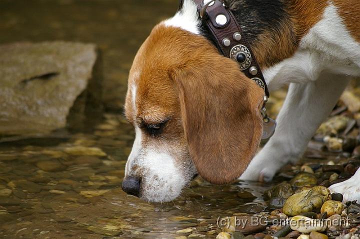 20070609-2.jpg - Hauptsache, die Füsse werden möglichst nicht nass!