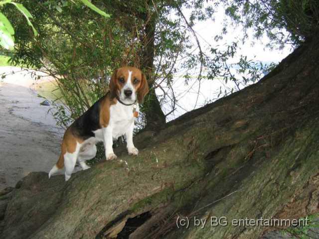 photo10.jpg - 16.05.2005 Cora als Abenteurerin