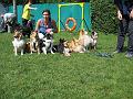 IMG_0616