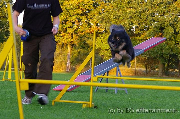 IMGP7777.jpg - Der Lappi in Action