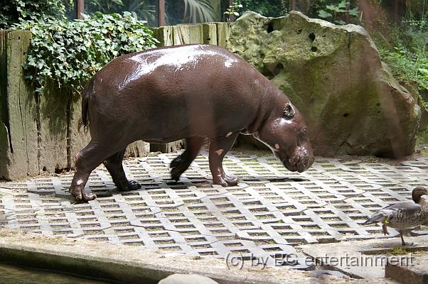 IMGP1340.jpg