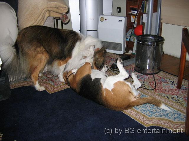 IMG_0009.jpg - ... ok, ich ergebe mich!
