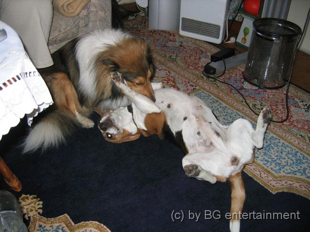 IMG_0010.jpg - ja, nimm mich Baby...