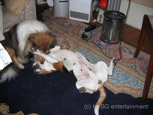 IMG_0012.jpg
