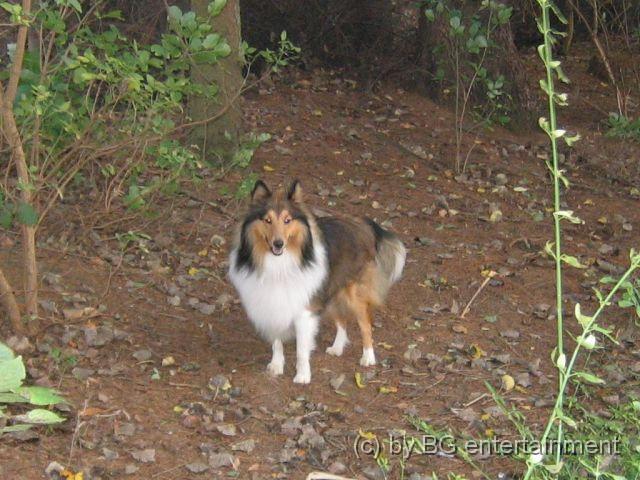 IMG_0029.jpg - Nicki in der Wildnis