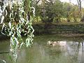 IMG_0031