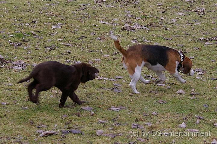 IMGP3587.jpg - ... und immer hinter der grossen Freundin her!