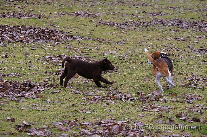 IMGP3589.jpg - Los jetzt, spiel mit mir!