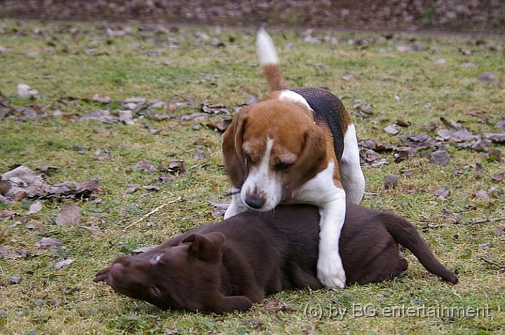 IMGP3653.jpg - "Und bist Du nicht willig, dann drück ich Dich runter!"