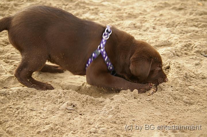 IMGP3720.jpg - Sand ist aber auch klasse!