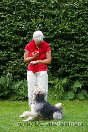 IMGP5047.jpg - Momo fliegt ins "Platz"
