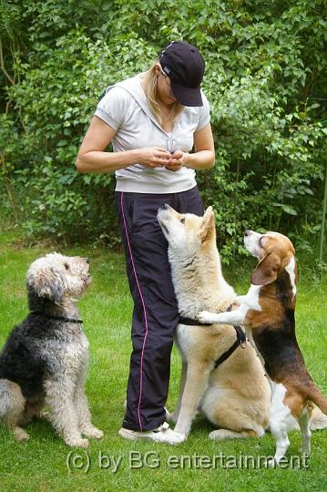 IMGP5093.jpg - ... ungeteilte Hundeaufmerksamkeit! Man beachte Klein-Cora, mit welchen unlauteren Mitteln sie sich grösser macht *g*