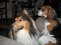 2006-11-04_Mareile