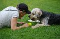 2008-06-08_Hundebesuch
