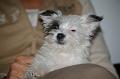 2009-01-18_Lulu