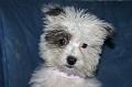 2009-02-18_Lulu