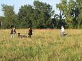 IMG_0070