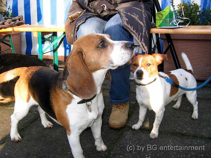 IMG_0100a.jpg - Ey, wo is das Würstchen??!?!?!