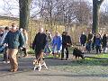 IMG_0041