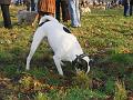 IMG_0075