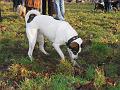 IMG_0076