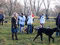 IMG_0094a