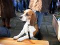 IMG_0114a