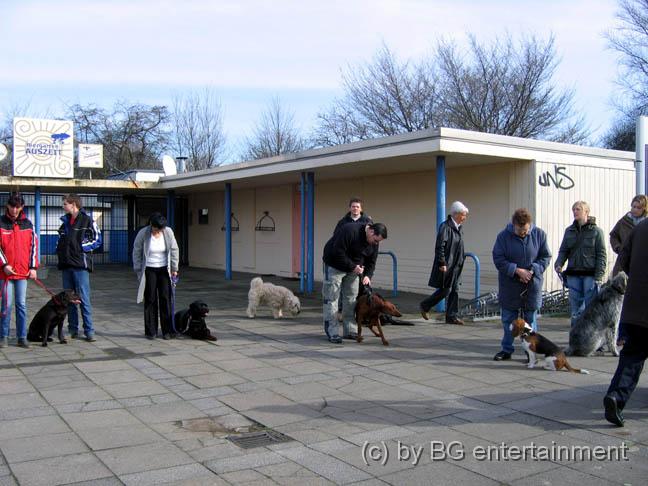 IMG_4049.jpg - Alle sind gaaaaaanz brav!