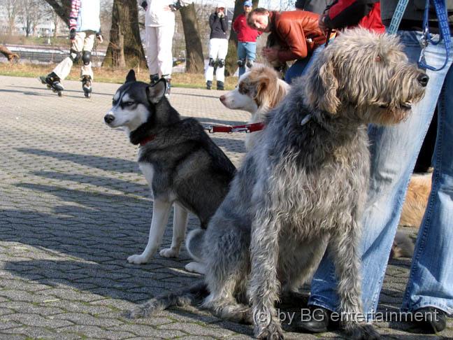 IMG_4088.jpg - Connor, Kaya und Magic