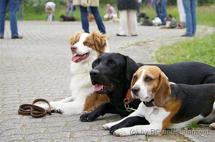 IMGP0593.jpg - Rat Pack  ;-)
