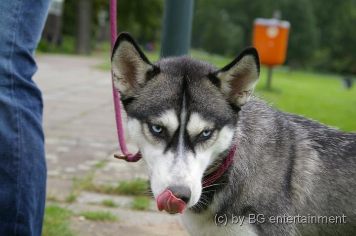 IMGP2472.JPG - Kaya