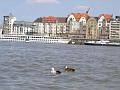 photo23