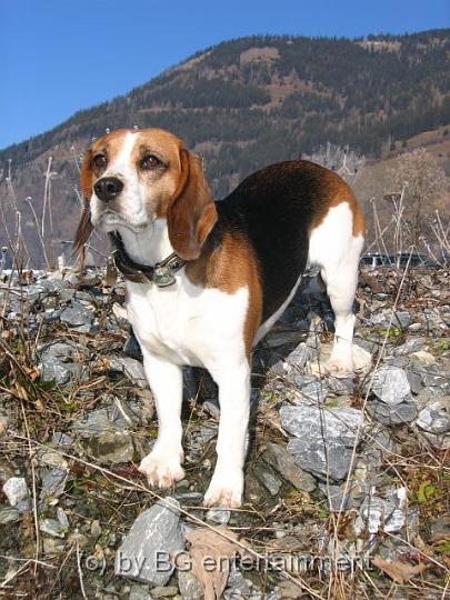 IMG_3747.jpg - Die Bergziege *lol*