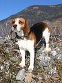 2007-12-21_Dorfgastein